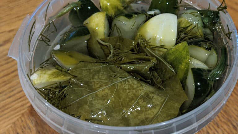 pickling-grape-leaves-for-dolma-hilda-s-kitchen-blog