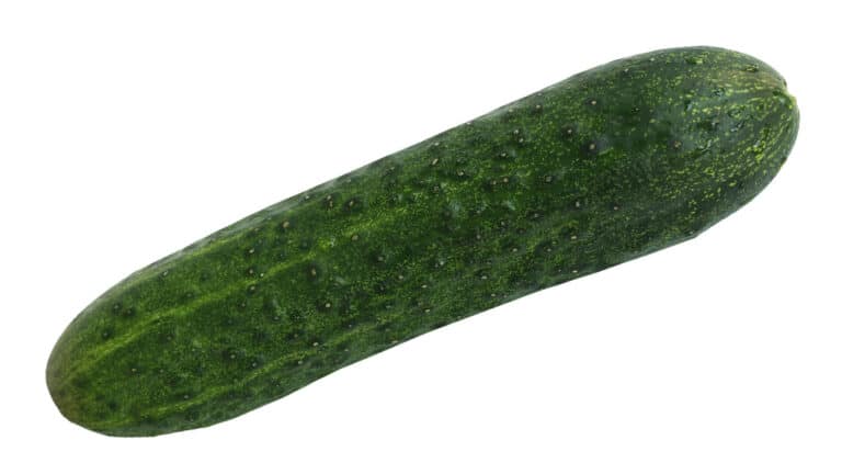 The Difference Between Pickling Cucumbers And Slicing Cucumbers Pickle Wiki