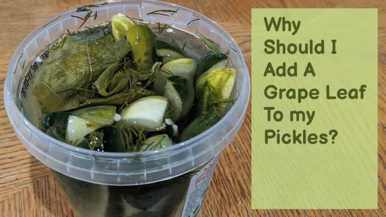 why-add-a-grape-leaf-to-my-pickles-pickle-wiki