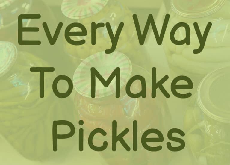 Types Of Pickling Methods And How You Can Do Them At Home – Pickle Wiki