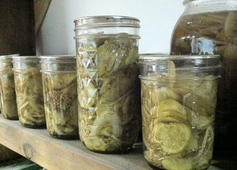 Types of Pickling Methods and How You Can Do Them at Home – Pickle Wiki