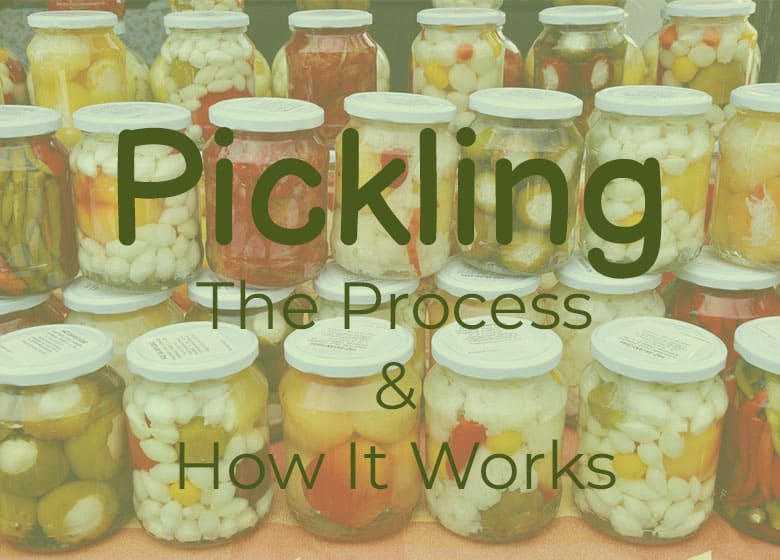 How The Pickling Process Works And Why You Need To Know It Pickle Wiki