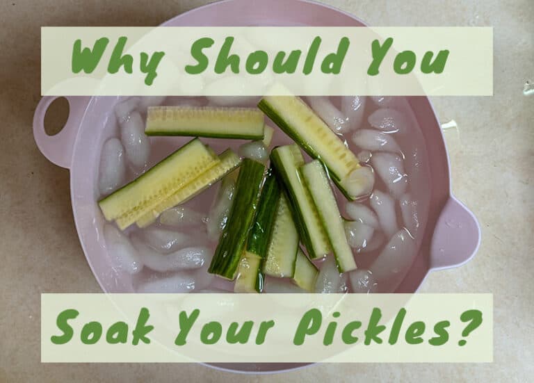 why-you-should-soak-cucumbers-before-pickling-them-pickle-wiki